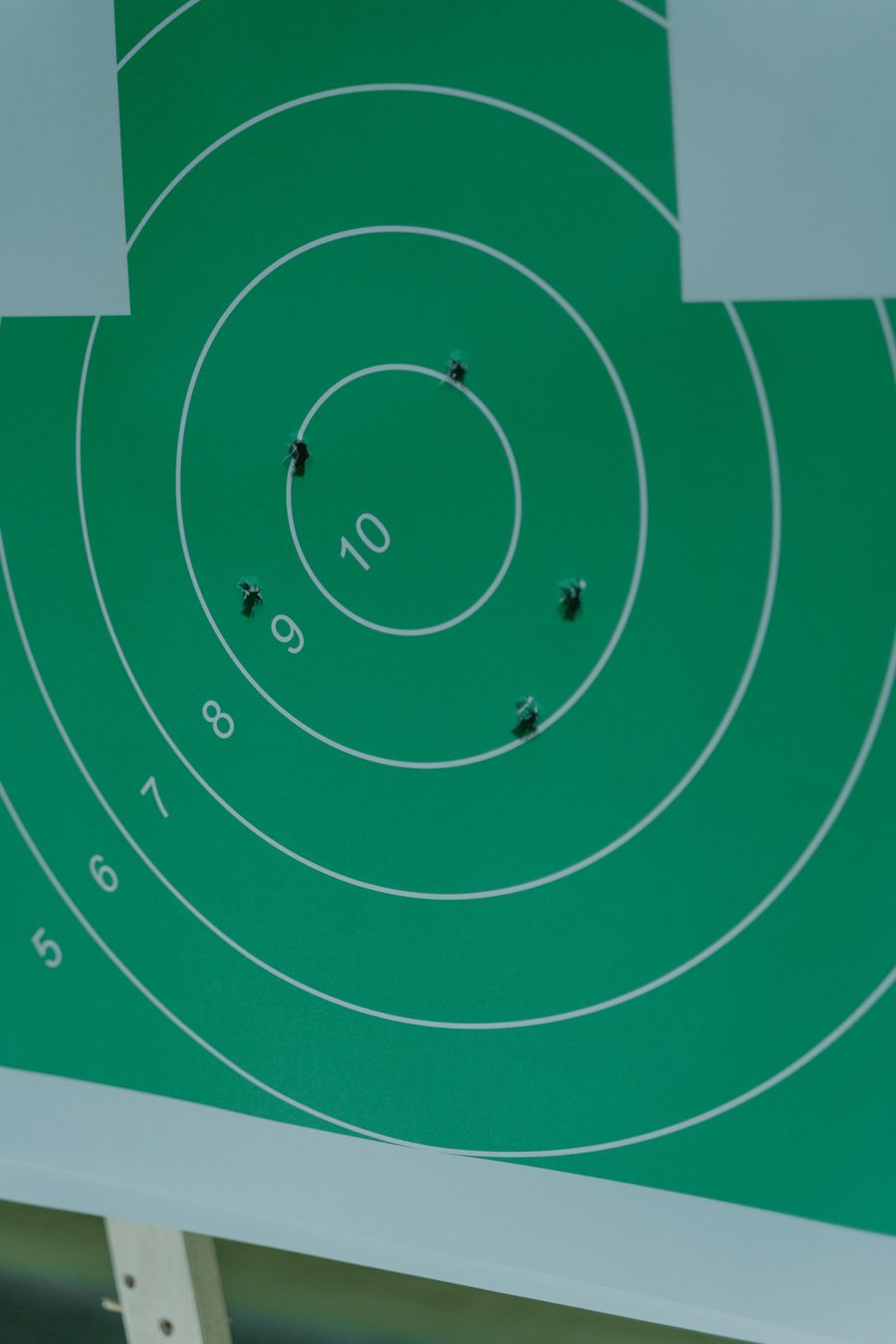 Darts clustered at the center of a target